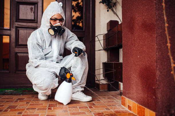 Reliable Fumigation Services contractor in Jamul, CA by Nex Pest Control